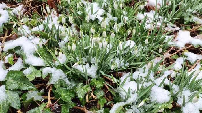 Bild "Home:20260219.jpg"