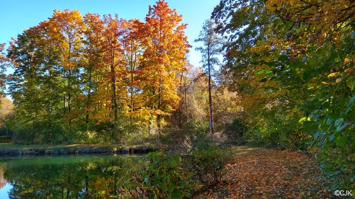 Bild "Home:herbstfarben.jpg"